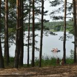 Rewilding Retreats: Vacations That Rebuild Ecosystems While You Relax