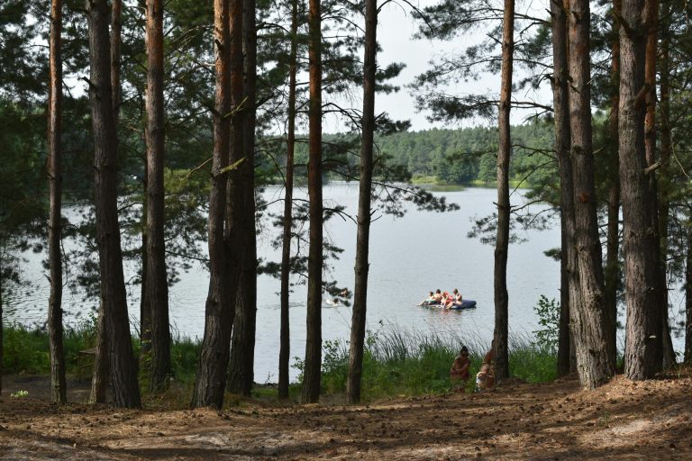 Rewilding Retreats: Vacations That Rebuild Ecosystems While You Relax