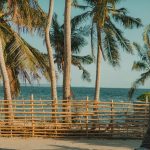 Climate-Controlled Biospheres: Tropical Getaways in Arctic Zones