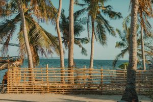 Climate-Controlled Biospheres: Tropical Getaways in Arctic Zones