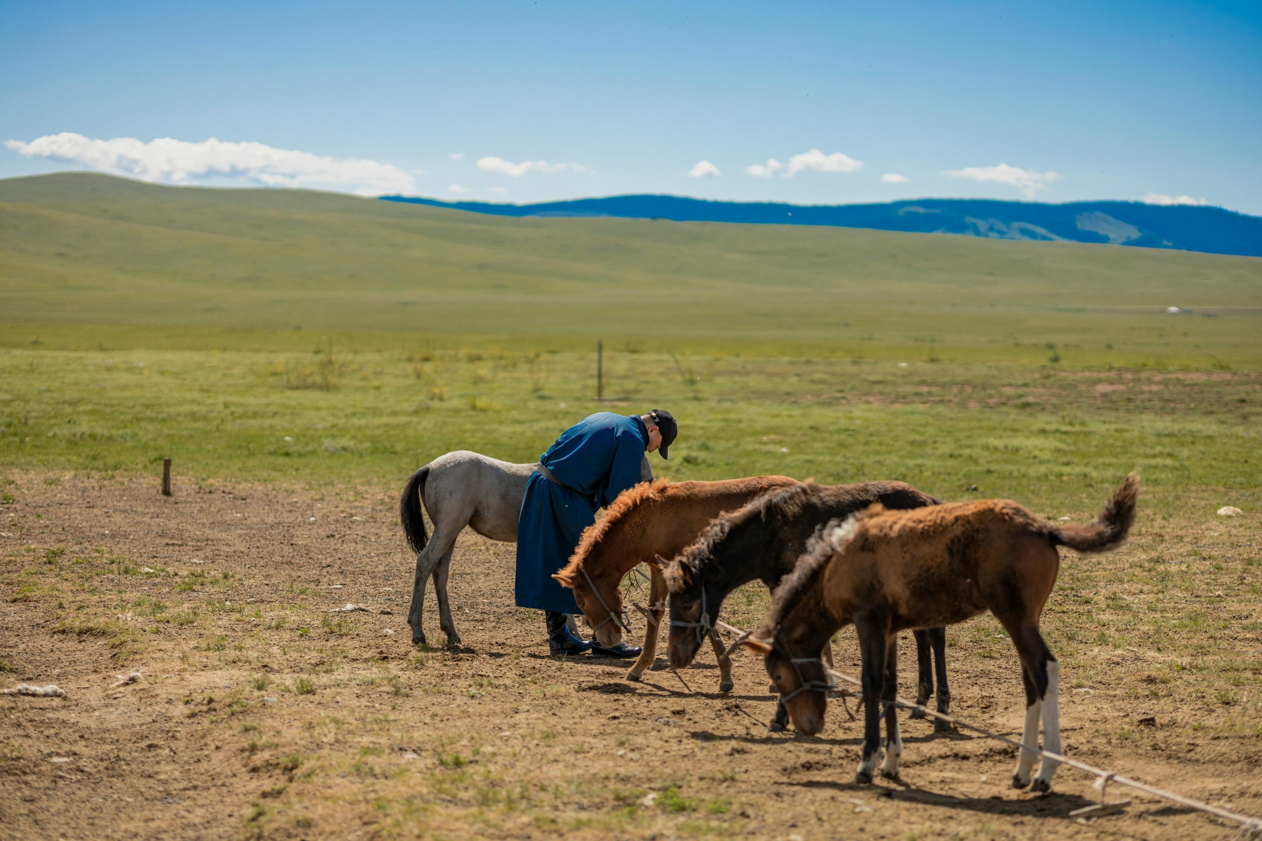 Nomadic Homestays: Living with Mongolian Herder Families