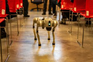 Robot Butler Resorts: Automated Service in Japan’s Futuristic Lodges