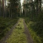 Silent Hiking Retreats: Meditative Trails with Noise-Canceling Tech