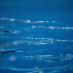 Plastic-Eating Drones: Cleaning Oceans While Filming Wildlife