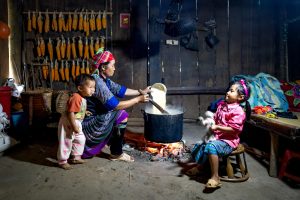 Indigenous Corn Varieties: Heirloom Grains Reclaiming Modern Menus