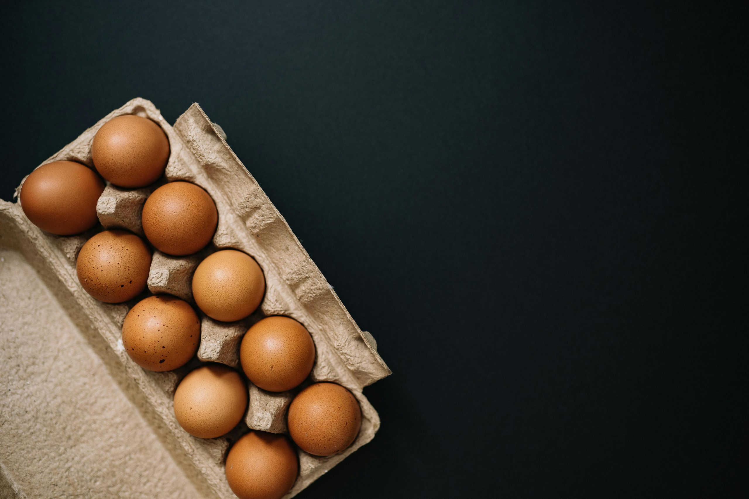 Air Protein: Carbon Capture Meets High-Protein Baking