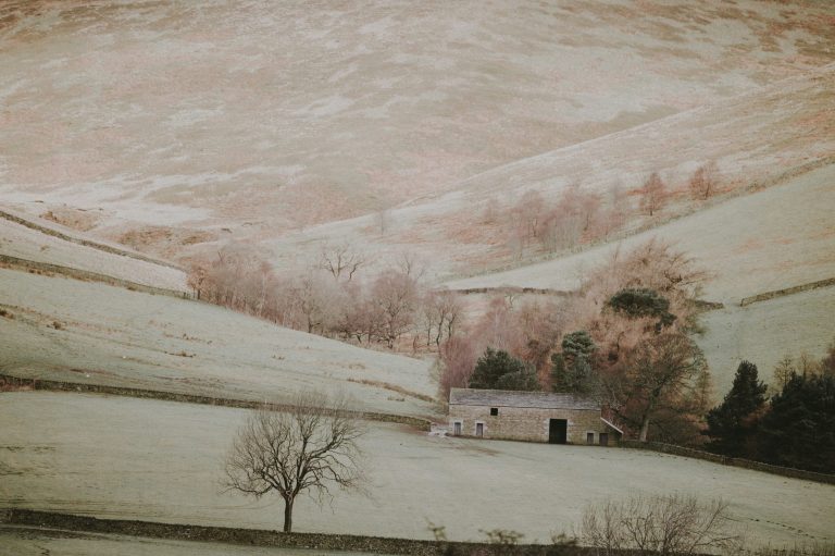 Shape-Shifting Walls: Programmable Rooms Adapting to Daily Needs