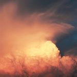 Algae Air Purifiers: Desktop Gadgets Absorbing CO2