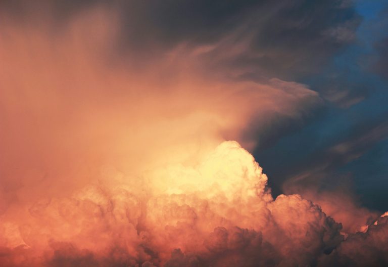 Algae Air Purifiers: Desktop Gadgets Absorbing CO2