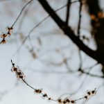 Mood Lighting Walls: LED Panels Mimicking Outdoor Environments