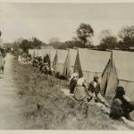 Flood-Proof Foundations: Amphibious Homes for Coastal Cities