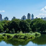 Theme Park Survivor Challenges: Bonding Through Obstacle Courses